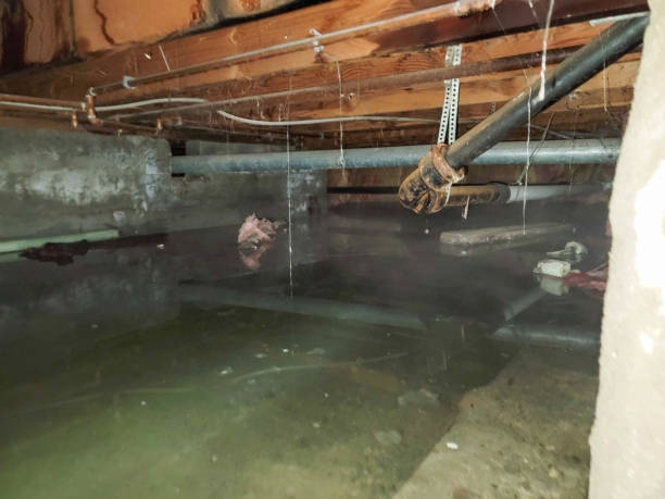 Best Ceiling water damage repair  in Reynoldsville, PA