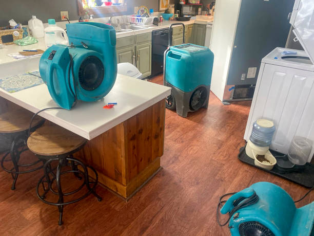 Best Water damage restoration near me  in Reynoldsville, PA