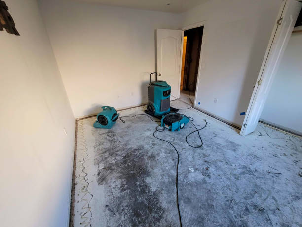  Reynoldsville, PA Water damage restoration Pros