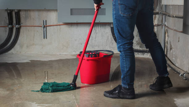 Best Emergency water damage restoration  in Reynoldsville, PA