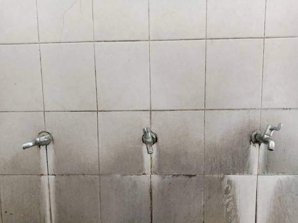 Best Flooded house restoration  in Reynoldsville, PA