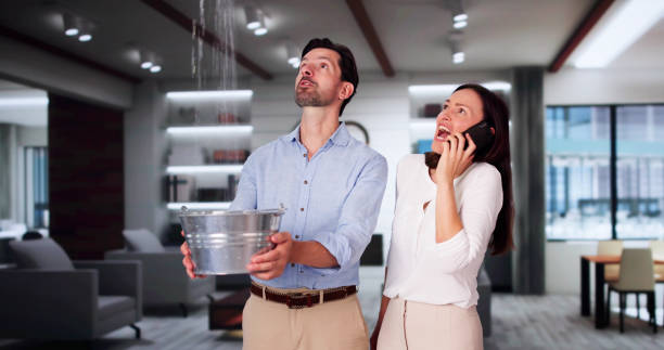 Best Water damage contractors near me  in Reynoldsville, PA